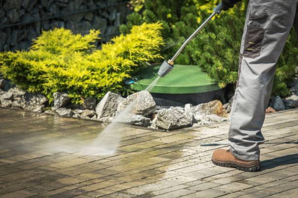 Best Animal Enclosure Cleaning  in Woodacre, CA