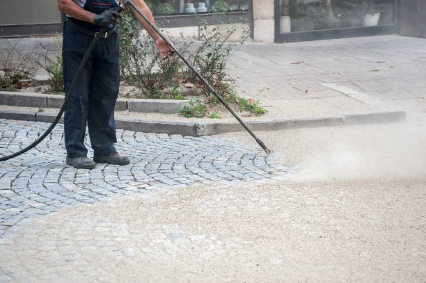 Best Boat and Dock Cleaning  in Woodacre, CA