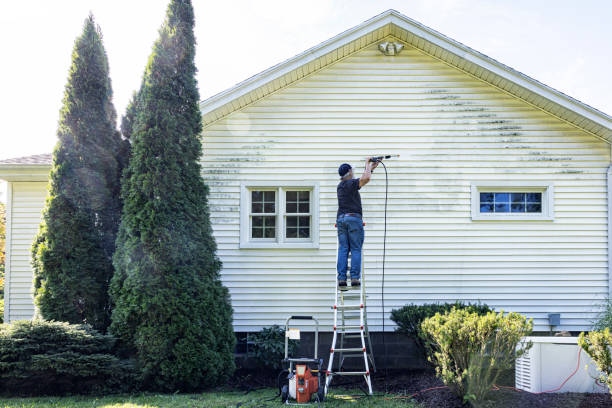 Best Driveway Pressure Washing  in Woodacre, CA